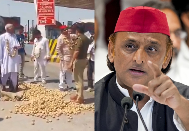 'आलू के दाम गिरने से बर्बाद हो रहे किसान...' अखिलेश यादव बोले- भाजपा का खेल है कि किसानों की लागत तक न निकले और खेतीबाड़ी छोड़ दें