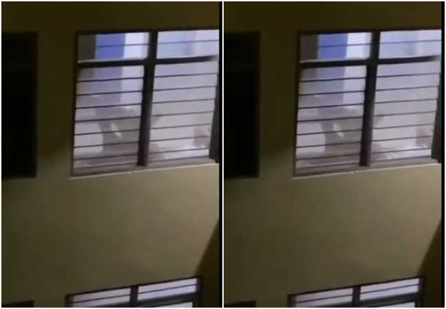 Video Viral : प्राइवेट पल के दौरान पर्दा लगाना भूल गया कपल, लोग बोले-भाई लाइट तो बंद कर लेता