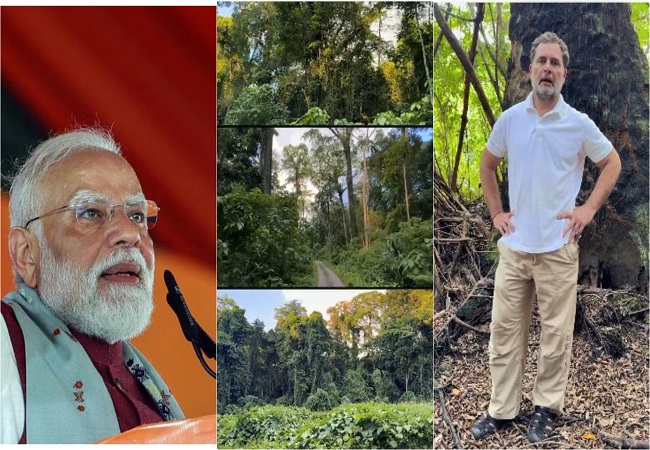 अंडमान-निकोबार दीप के लोगों की छीनी जा रही है जमीन, लोकतंत्र में जनता की बात सुनी जानी चाहिए : राहुल गांधी