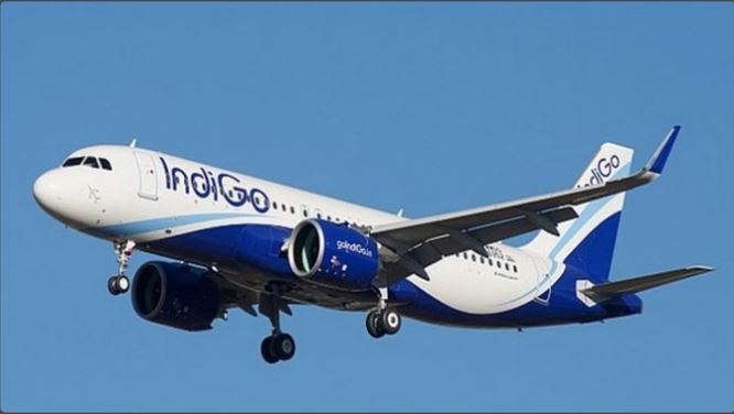 Lucknow News : चौधरी चरण सिंह अंतरराष्ट्रीय एयरपोर्ट पर पायलट की सूझबूझ से टला बड़ा हादसा, रनवे पर उड़ान भर रहे विमान के सामने आया बंदर