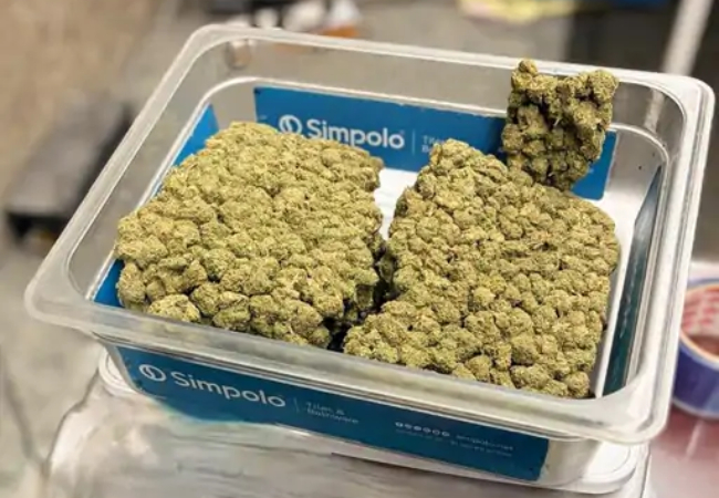 अंतरराष्ट्रीय ड्रग्स तस्करी मामले का पर्दाफाश, लखनऊ एयरपोर्ट पर यात्री के पास करीब 3.19 किलोग्राम हाइड्रोपोनिक गांजा बरामद