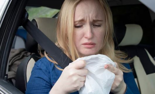 Motion Sickness : यात्रा शुरू होते ही मतली और चक्कर की परेशानी, जानें मोशन सिकनेस के असरदार उपाय