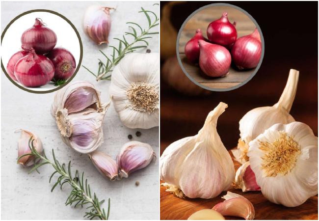 Health Tips : एक महीना बिना प्याज और लहसुन का प्रयोग न करने से शरीर में क्या होता है बदलाव? जानें इसका नफा-नुकसान