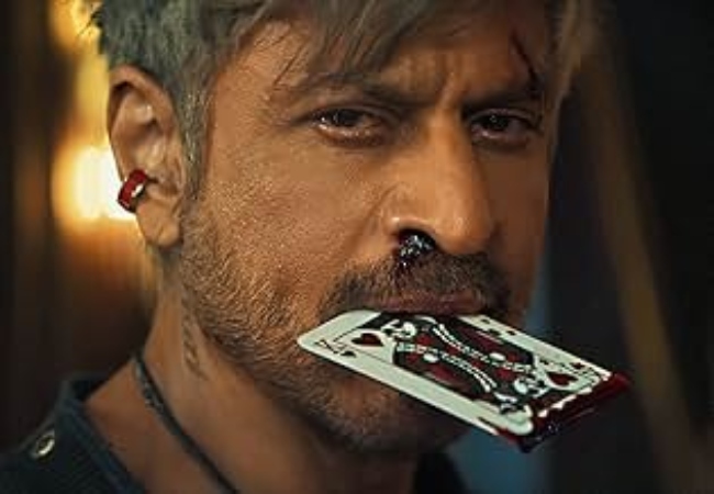 रिलीज से पहले ही 250 करोड़ कमा ली शाहरुख की ‘किंग’, जानिए कौन-कौन से सुपरस्टार आएंगे फिल्म में नजर