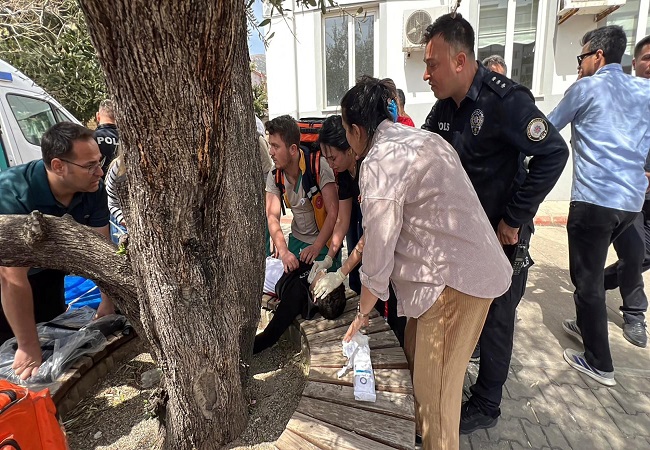 स्कूल में 14 वर्षीय छात्र ने चलाई अंधाधुंध गोलियां, आठ छात्रों सहित 9 की मौत, छात्रों ने खिड़कियों से कूद कर बचाई जान