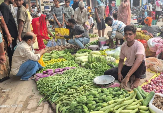 Green Vegetables Price : मंडी और फुटकर सब्जियों के रेट में है जमीन-आसमान का अंतर, भिंडी 3 रुपये, तोरई 6 और करेला 15 रुपये किलो
