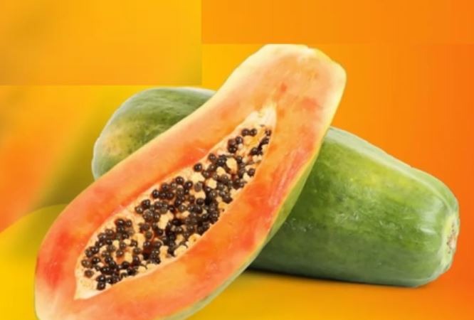 Papaya Nutrients :  पोषक तत्वों का खजाना है पपीता ,  सेहत सुधारने में बेहद उपयोगी