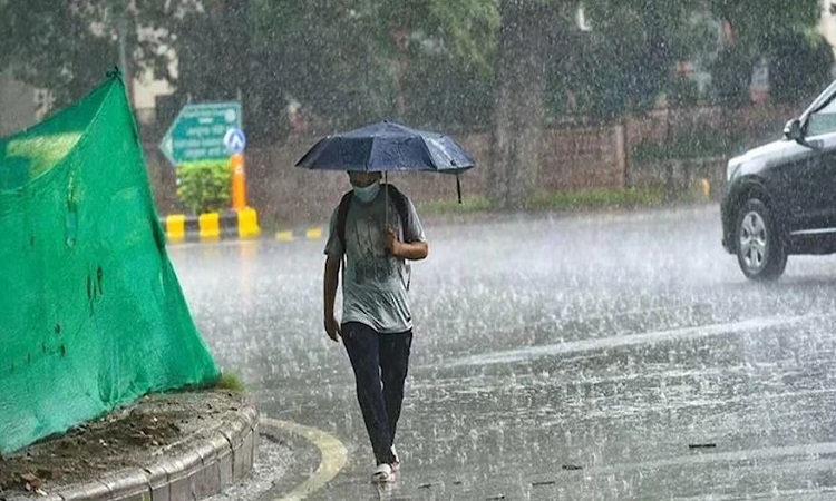 Rain in Delhi-NCR: दिल्ली-एनसीआर में अचानक बदला मौसम का मिजाज, कई इलाकों में बारिश से लोगों को मिली राहत