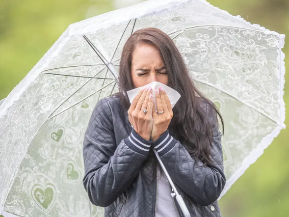 Monsoon Health Guide :  बारिश के मौसम में रख सकते हैं खुद को स्वस्थ और सुरक्षित  , बीमारी रहेंगे दूर