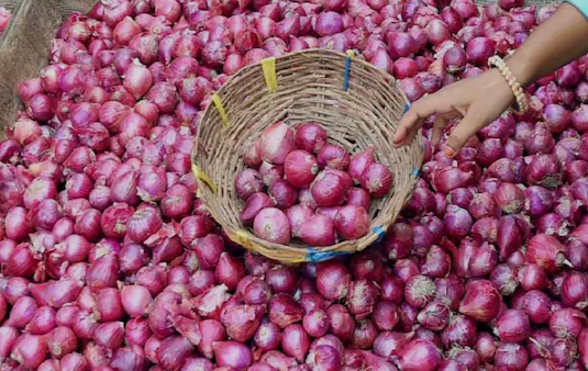 Onion Price :  सरकार ने बढ़ाया प्याज का खरीद मूल्य , अब इतना रुपये प्रति किलो