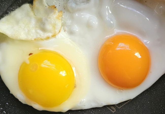 Egg Yolk Good Or Bad: किन लोगों को नहीं खाना चाहिए अंडे का पीला भाग, जानें इससे क्या है नुकसान?