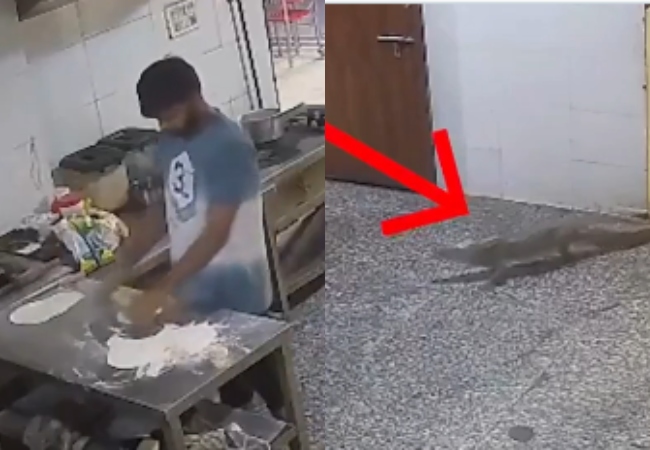 Video-कोटा के बॉयज हॉस्टल में घुसा मगरमच्छ, मेस में मची भगदड़, CCTV में कैद हुई पूरी घटना