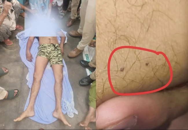 मेरठ में पत्नी ने प्रेमी संग करैत सांप से डसवाकर कर दी स्कूल संचालक पति की हत्या