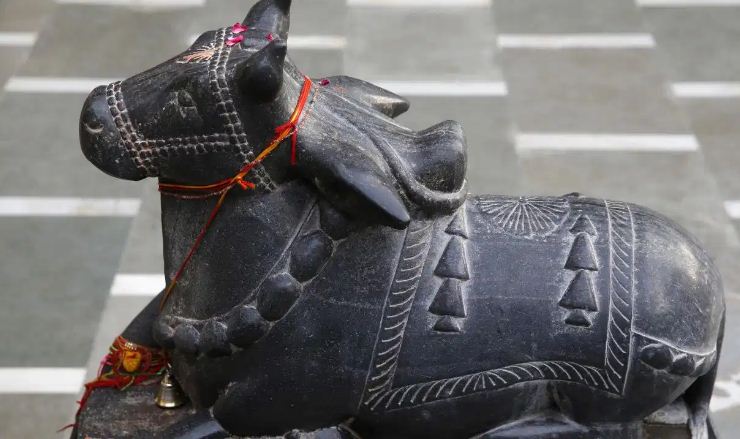 sawan me nandi puja :  सावन में नंदी पूजा विशेष फलदायी मानी जाती है ,  जानें नंदी श्लोक