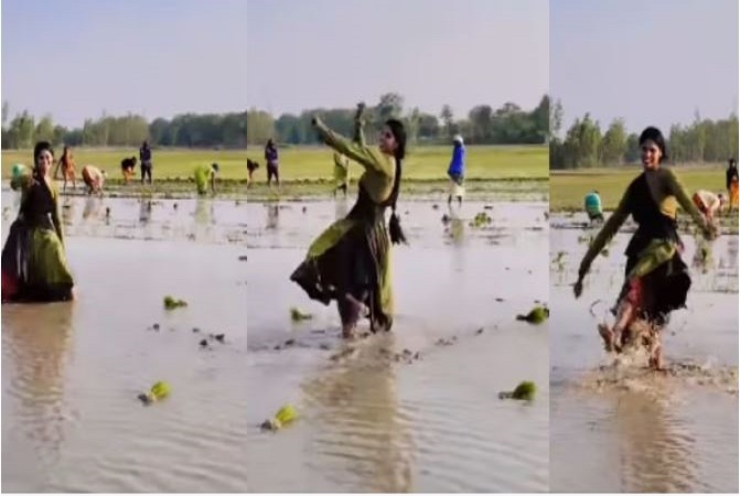 Village Girl Viral : भोजपुरी गाने पर लड़की ने रोपाई छोड़कर खेत में किया शानदार गाने पर लगाए ठुमके, वीडियो ने जीता लोगों का दिल