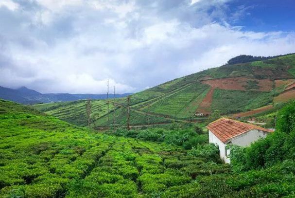Travel during the monsoon : मानसून में घूमें कुर्ग और उदयपुर, हवा में घुली नमी का मज़ा ले सकते हैं