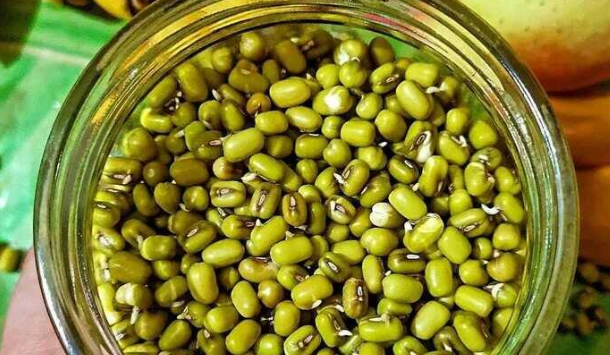 Green Moong Excellent Superfood : हरी मूंग सेहत के लिए एक बेहतरीन सुपरफूड , पाचन तंत्र के लिए बेहद असरदार