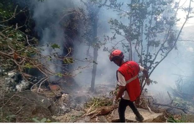 Kenya helicopter crash :  केन्या में हेलीकॉप्टर क्रैश, 5 अमेरिकी नागरिकों समेत 7 लोगों की मौत