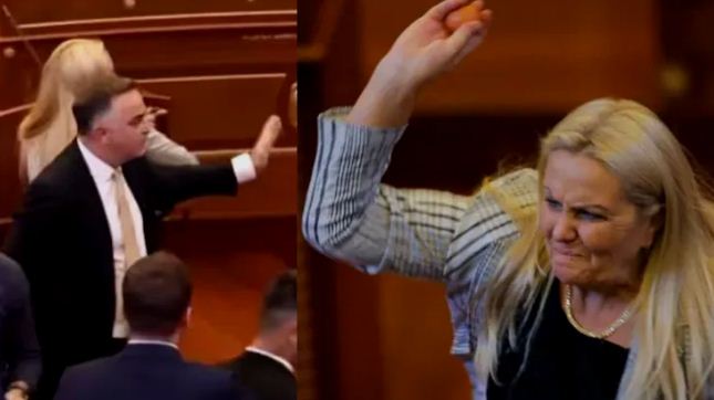 Kosovo Parliament :  कोसोवो की संसद में हंंगामा, PM कुर्ती पर फेंके गए अंडे , बीच में रोकी गई सदन की कार्यवाही