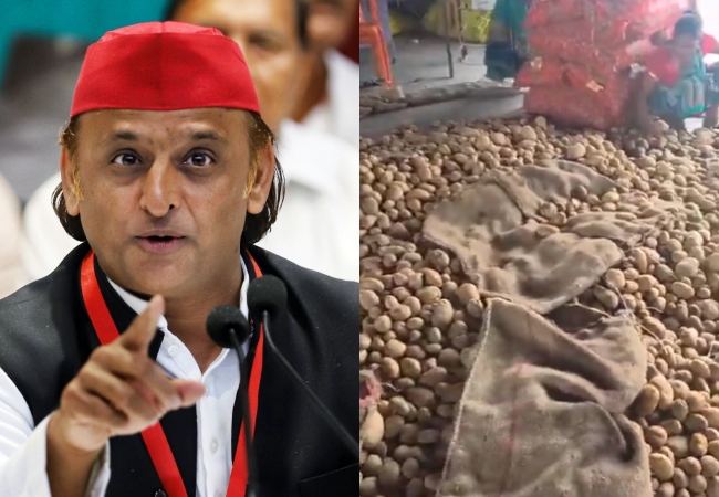 अखिलेश का योगी सरकार से सवाल- क्या किसान को ‘1 रुपये किलो’ आलू की क़ीमत देने से बनेगी ‘1 ट्रिलियन’ डॉलर की इकोनॉमी