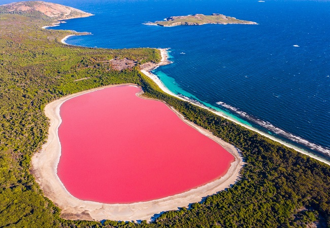 Unique Miracle of Nature : ऑस्ट्रेलिया की इस झील का पानी नीला नहीं, बल्कि है एकदम गुलाबी