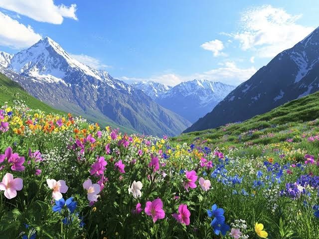 उत्तराखंड के गढ़वाल क्षेत्र में देखना है 'वैली ऑफ फ्लावर्स' का जादुई नजारा तो IRCTC 6 दिनों का लेकर आया स्पेशल ट्रेकिंग पैकेज