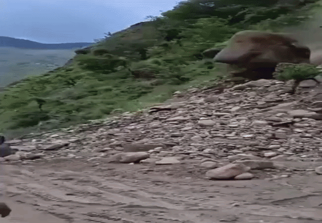 नेपाल में भूस्खलन के बाद बस पर गिरा बड़ा पत्थर, ​Video कर देगा हैरान...