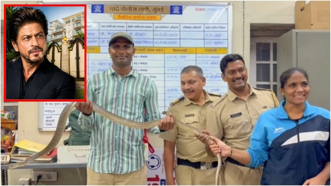 नाग पंचमी के दिन शाहरुख खान के बंगले में सांपों की एंट्री, सीढ़ियों के नीचे छिपे सांप देखकर आधी रात बुलानी पड़ी रेस्क्यू टीम
