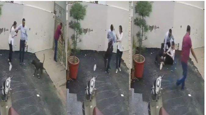 Video : मकान देखने गए दंपत्ति को गेट खुलते ही पिटबुल कुत्ते ने काट कर खून से कर दिया लथपथ, खड़े हो गए रोंगटे