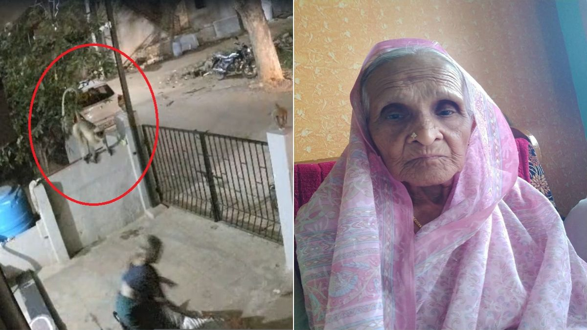 बंदर ने मारा ऐसा धक्का कि, पलभर में गयी बुजुर्ग महिला की जान, CCTV में कैद हुई घटना