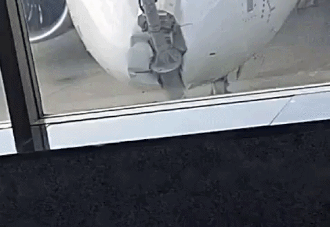 VIDEO : श्रीनगर एयरपोर्ट पर लैंडिंग के बाद IndiGo विमान पोल से टकराया, सभी यात्रियों को सुरक्षित बाहर निकाला गया
