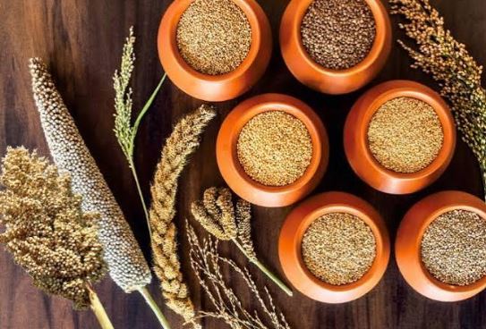 Powerhouse of Nutrients : मोटे आनाज पोषक तत्वों का पावरहाउस माने जाते है , स्वास्थ्य के लिए बेहतर