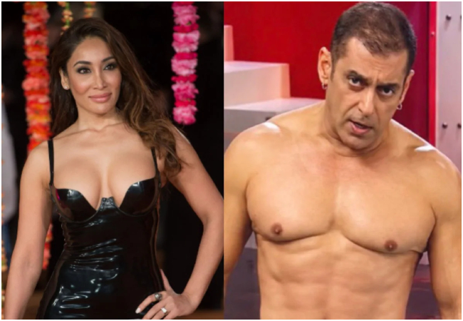 BB 7 की कंटेस्टेंट सोफिया हयात, बोलीं- सलमान खान ढोंगी, बेवकूफ है…,देखें Viral Video