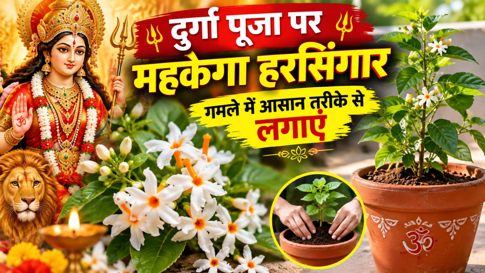 Harsingar Planting Tips : दुर्गा पूजा पर महकेगा हरसिंगार, गमले में आसान तरीके से लगाएं