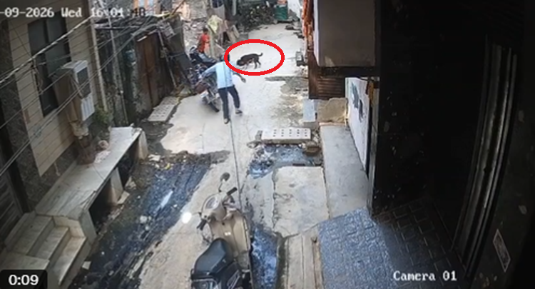 Viral Video: उत्तरी दिल्ली के संगम विहार इलाके का खौफनाक वीडियो वायरल, 18 महीने के मासूम पर आवारा कुत्ते ने किया हमला