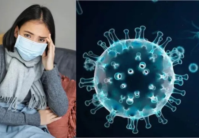 पंजाब के मोगा जिले में स्वाइन फ्लू की दस्तक, 3 नए पॉजिटिव केस मिलने से स्वास्थ्य विभाग अलर्ट