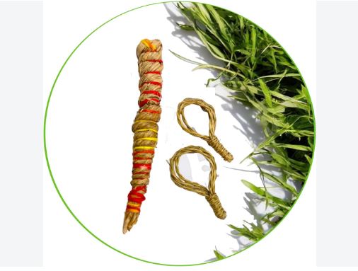 Pitru Paksha 2024 kusha :  पितृ पक्ष में कुशा की पवित्री का विशेष महत्व है , जानें उंगली में धारण करने का नियम और मंत्र