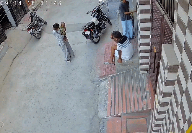 Video Viral- सोनीपत में छह माह के बच्चे पर पिटबुल का जानलेवा हमला, पेट में लगे 20 टांके, भारत के कई राज्यों में पिटबुल पालना है बैन