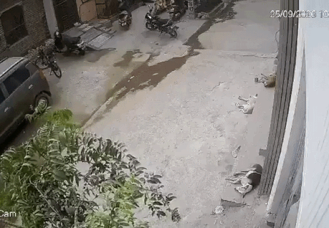 प्रेमानंद महाराज के शिष्य ने सुसाइड किया या है कुछ और? घटना की आई CCTV Video
