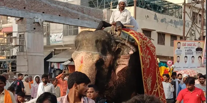 संभल: हाथियों के साथ निकली अनोखी शव यात्रा, मां को आखिरी विदाई देने 15 किमी पैदल चला परिवार