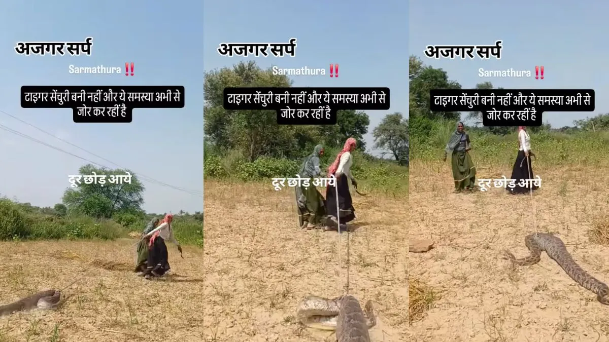 Viral Video: 10 फीट के अजगर को डोरी से बांधकर खींच ले गईं महिलाएं! एक यूजर ने लिखा, 'इतने बड़े अजगर को किडनैप कर लिया'