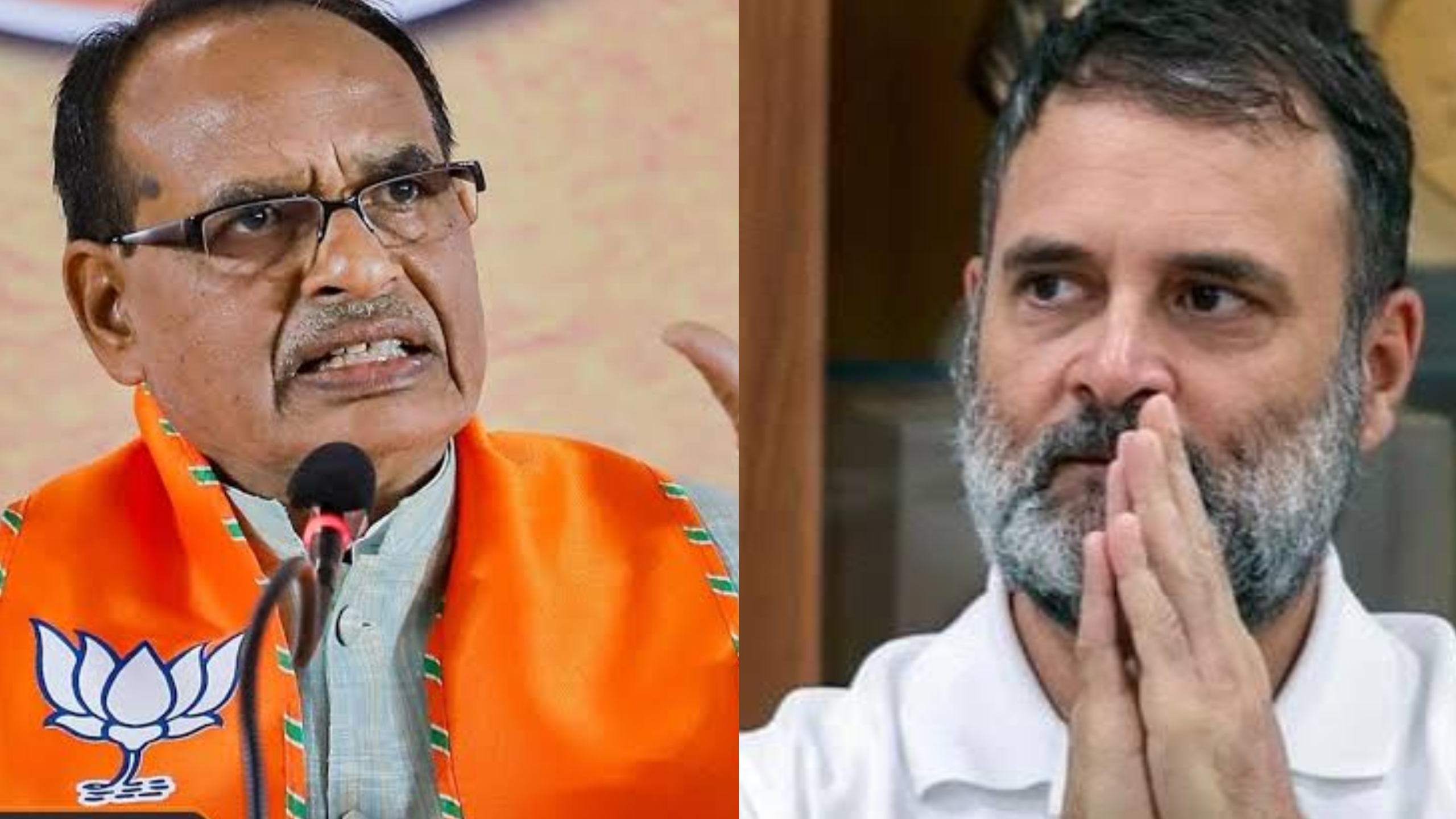राहुल गांधी 'पार्ट टाइम पॉलिटिशियन और फुल टाइम ट्रैवलर...,' रिजीम चेंज को लेकर शिवराज सिंह चौहान का हमला