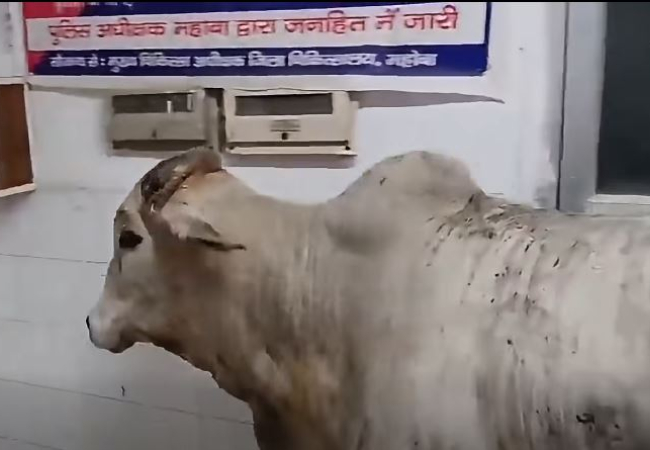 स्वास्थ्य मंत्री जी संज्ञान लें… अस्पतालों का औचक निरीक्षण करने आपकी जगह कोई और पहुंच गया, अखिलेश यादव ने Video शेयर कर कसा तंज