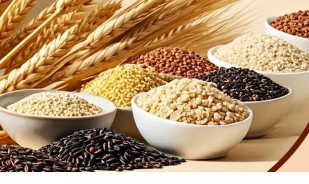 Season For Eating Millets : मिलेट खाने का मौसम आ गया, सर्दियों में इम्युनिटी को मजबूत रखता है
