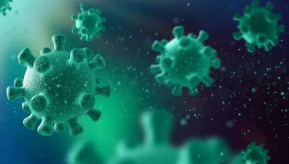 Shamonda Virus in France :  फ्रांस में शमोंडा वायरस का पहला मामला आया सामने,इंफेक्शन पर नजर रखने की जरूरत