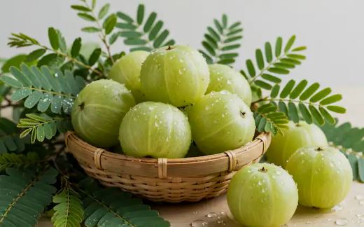 Amla Health Benefits : रोज एक आंवला खाने से हरदम रहेंगे फिट ,  बीमारियों से लड़ने की ताकत बढ़ती है
