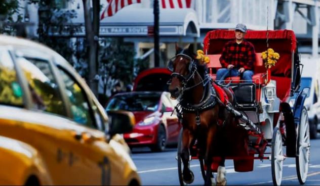 New York horse-drawn carriages : न्यूयॉर्क की घोड़ा गाड़ी बैन, खत्म होगी 150 साल पुरानी परंपरा