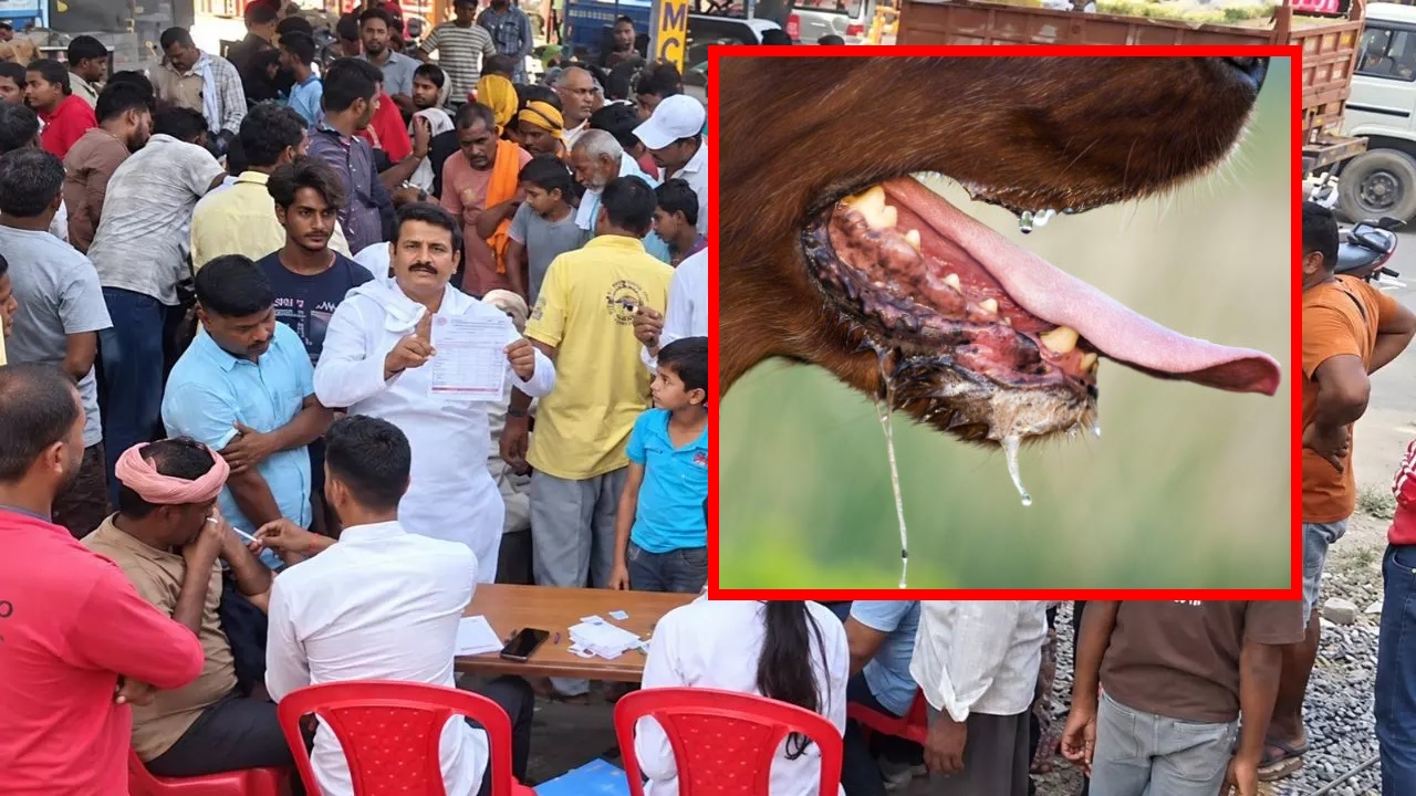 दुर्गा पूजा के प्रसाद से रेबीज का खतरा! यूपी के गांव में मचा हड़कंप, 450 लोगों को लगा एंटी रेबीज टीका